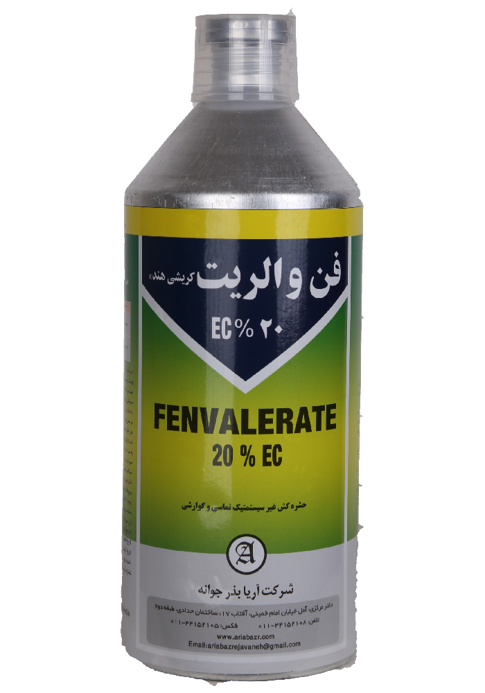 فن والریت