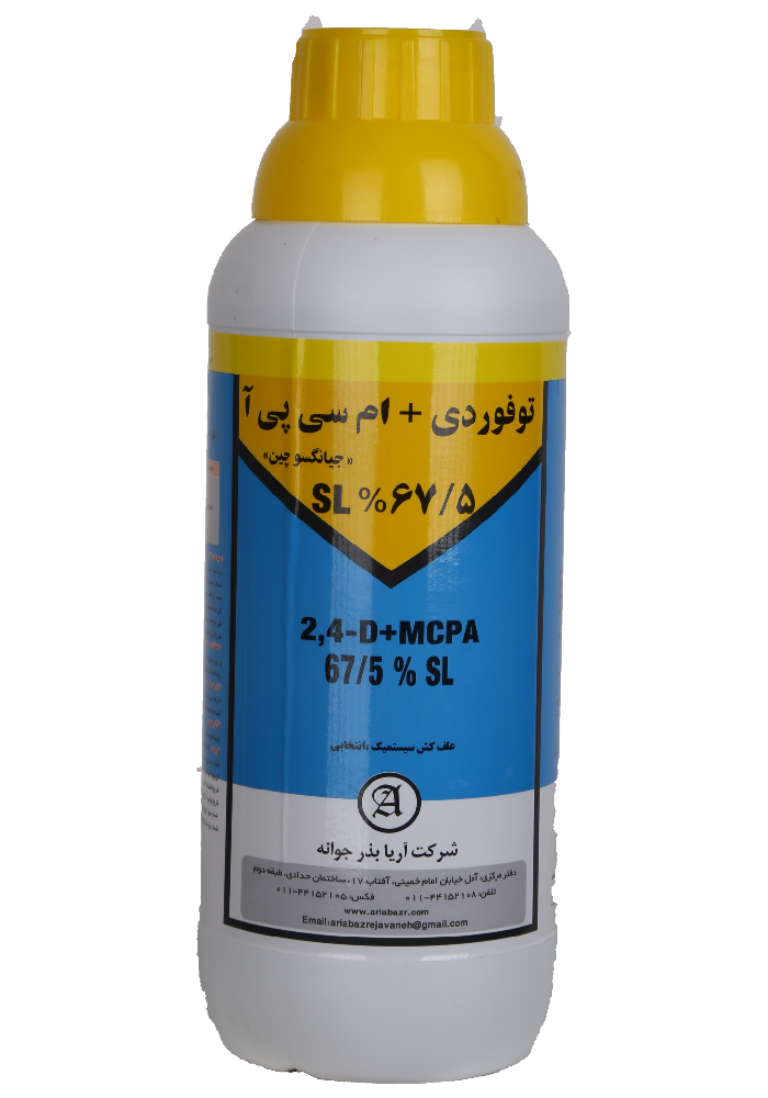 توفوردی + ام سی پ آ